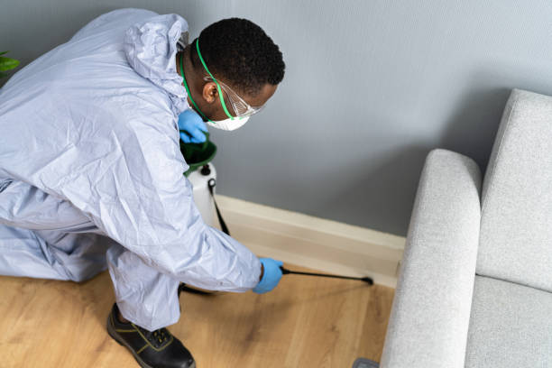 Best Residential Pest Control  in Azle, TX